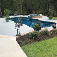 IMG 0099
